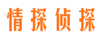 巴青找人公司